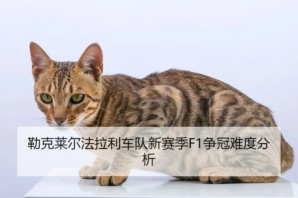 勒克莱尔法拉利车队新赛季F1争冠难度分析