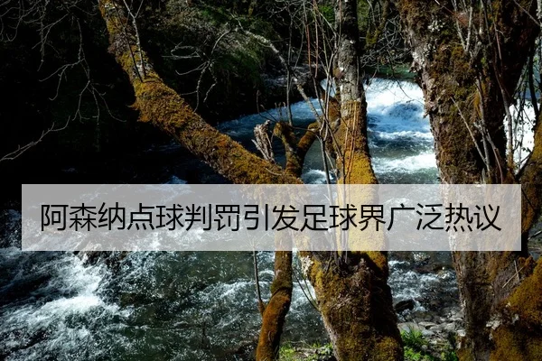 阿森纳点球判罚引发足球界广泛热议