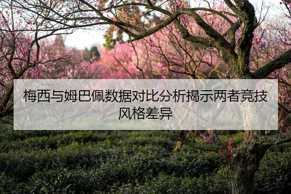 梅西与姆巴佩数据对比分析揭示两者竞技风格差异